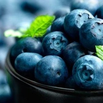 Benefícios do Mirtilo