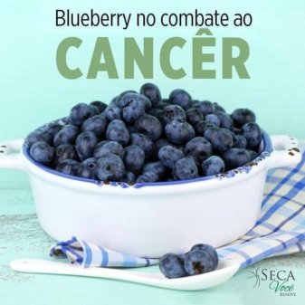 Mirtilo no combate ao Câncer