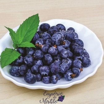 beneficios mirtilo