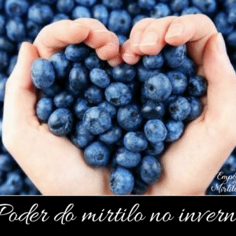 Saúde e Mirtilo