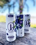 Energético Sabor Blueberry 355 ml - Zero Açúcar -Pack com 12 Unidades