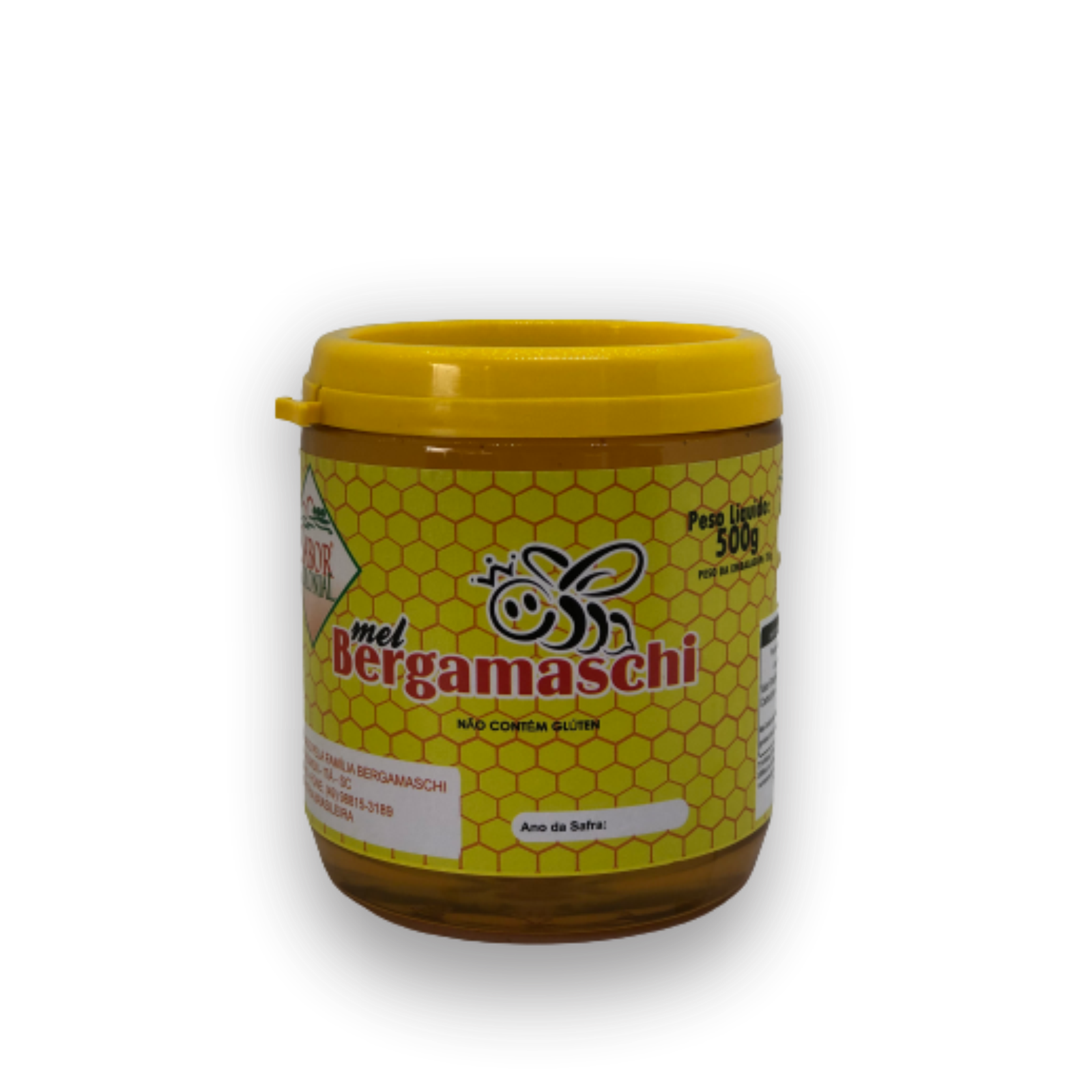 Mel da Florada Regional 500g -