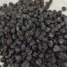 mirtilo blueberry empório do mirtilo 500 g