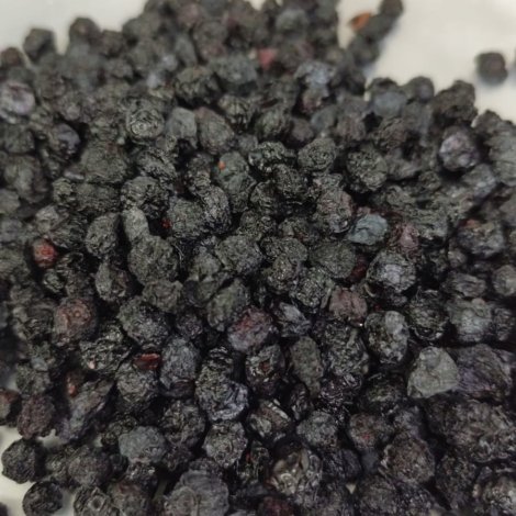 mirtilo blueberry empório do mirtilo 500 g